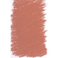 BLOCKX Soft Pastel 404 Raw Sienna Shade 4