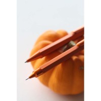 Rhodia scRipt Mechanical Pencil Orange 0.5mm